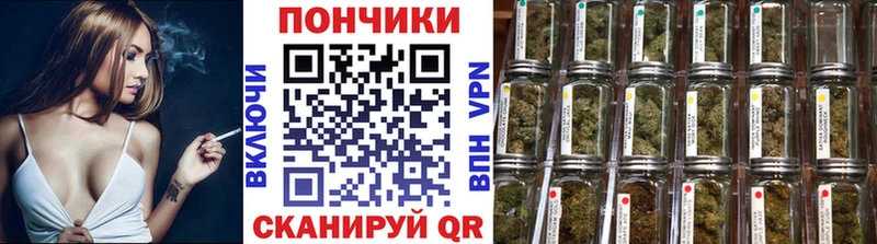 Бошки марихуана планчик  это наркотические препараты  Чебаркуль  магазин продажи наркотиков 